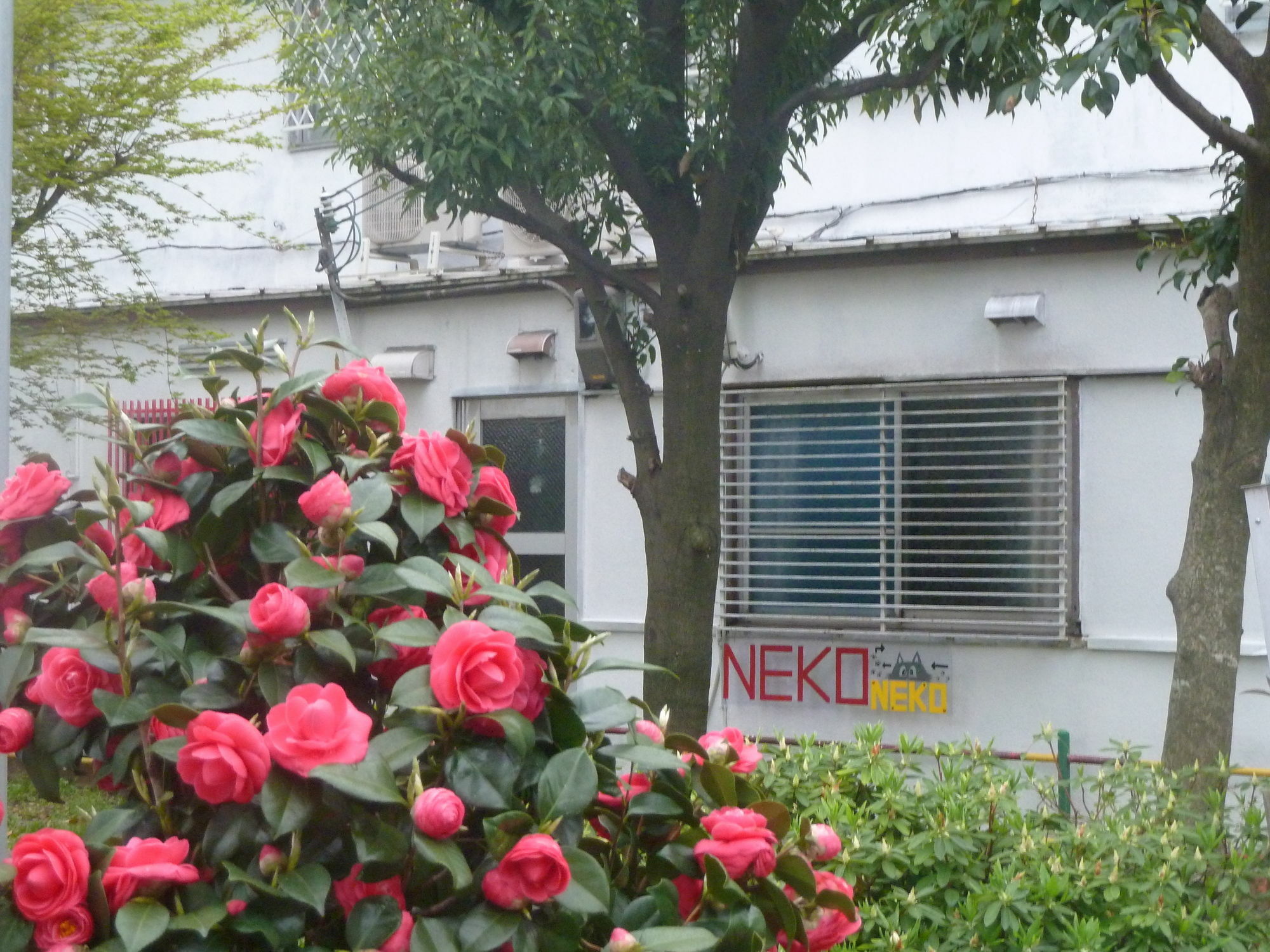 Guest House Neko Neko تويوناكا المظهر الخارجي الصورة